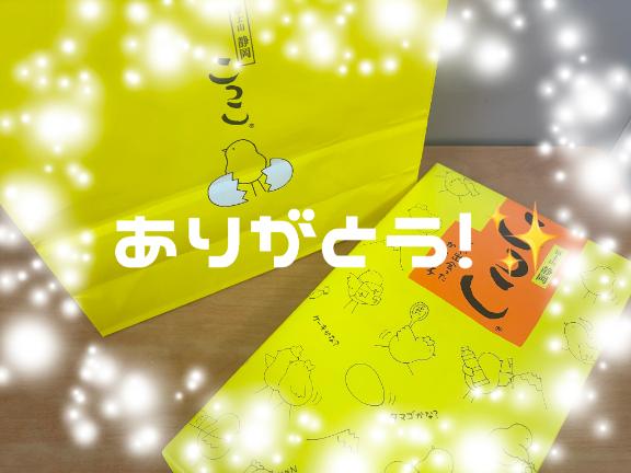 持丸さらん