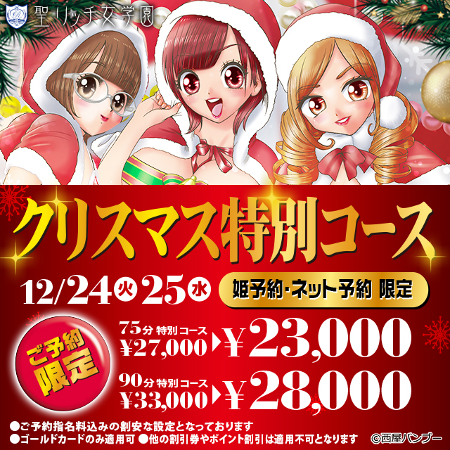 性夜のクリスマス特別授業♪<br />二人で過ごす特別の時間…<br />お気に入りの女の子と<br />直接約束♪<br />クラスのみんなには内緒だよ♡